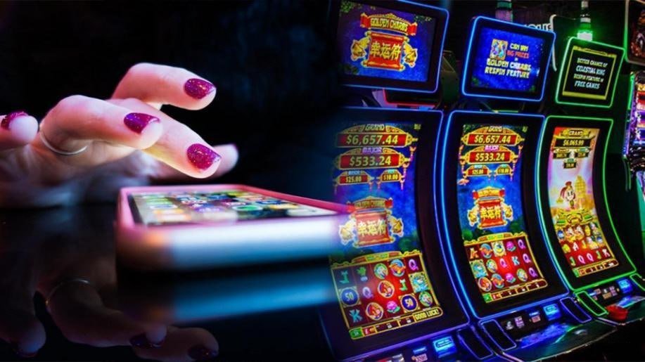 55c1 bet